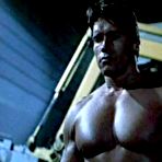 Fourth pic of VipGalleries.net Arnold Schwarzenegger :: FreeMaleCelebrityArchive.com