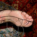 Third pic of REAL MATURE AMATEURS - by homemadejunk.com