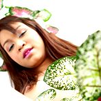 Third pic of Erotic Asian Video Collection