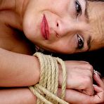 Fourth pic of Paingate.com - the largest Whipping Caning Suspension and Bondage Database on earth