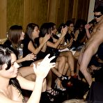 Third pic of Dancing Bear, sex party, bachelorette parties gone wild, party hardcore