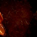 Fourth pic of Erica Campbell stars at Actiongirls.com