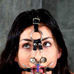 Third pic of METAL BONDAGE GALLERY