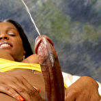 Fourth pic of Black Shemale Stars Sample Photos!