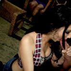 Second pic of Dancing Bear, sex party, bachelorette parties gone wild, party hardcore