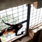 First pic of Kobe Kaige Videos and Movies from Scotty JX