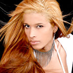 First pic of All Tranny Pass - The Largest Hardcore Shemale Database ONline
