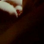 Second pic of  Denise Crosby sex pictures @ All-Nude-Celebs.Com free celebrity naked images and photos