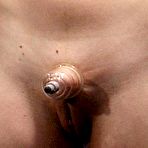 Third pic of SADISM PHOTOS