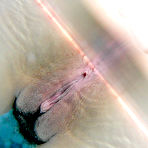 Third pic of http://98.to/osg Orion Scan And G a l l e r y