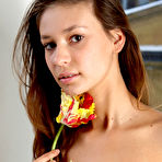 Second pic of Lidija | Stay With Me - MPL Studios free gallery.