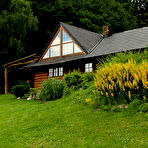 First pic of ALS is All Ladies Shaved - ALS Angels Thumbnail Gallery