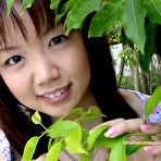 Third pic of Cute Asian Girls Japanese Porn Gallery.