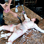 Fourth pic of Amateur BDSM Videos, Hard Bondage, Spanking, Fetish Sex Videos - Bondage Torment, Hard Sex Videos, BDSM, Forced Orgasms, Lesbian Bondage, Bondage Sex, Asian Bondage, Bondage Movies, Lesbian Videos, Female Bondage