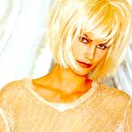 Third pic of :: Natasha Henstridge exposed photos :: Celebrity nude pictures and movies.