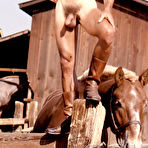 First pic of COLT Studio Group