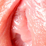 Fourth pic of http://98.to/osg Orion Scan And G a l l e r y