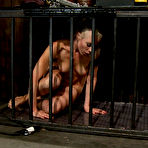 Fourth pic of SexPreviews - Lorelei Lee bound put on machine her body coverd with clamps