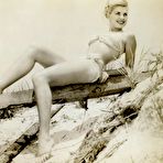 Fourth pic of Vintage sex action in a hot retro vintage porn movie 