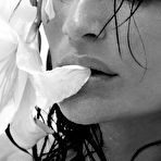 First pic of Helena Christensen - nude and sex celebrity toons @ Sinful Comics Free Access 