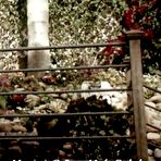 Fourth pic of :: BMC :: Gilles Marini nude on BareMaleCelebs.com ::