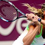 Second pic of Maria Sharapova nude photos and videos at Banned sex tapes