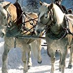 First pic of Retro porn ~ Hot seventies sex in the cold snow!