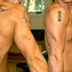 Fourth pic of Tommy D XXX pictures