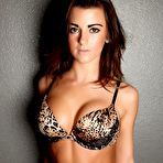 First pic of Busty Babe Taylor In Animal Print Lingerie