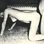 Third pic of Retro Porn Archive