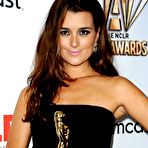 Third pic of Cote De Pablo posing at 2011 NCLR ALMA Awards
