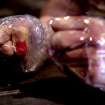 Second pic of SexPreviews - Ariel X busty bdsm babe bound in metal her body clamped