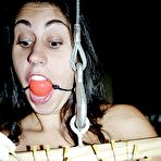 Third pic of Rick Savage Bondage Videos - DVD&VHS. Bondage, FemDom, Tit Torture, Spanking, Pussy Torture, BDSM, S&M, Slave, Pain Video