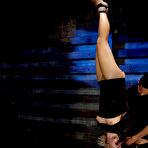 First pic of SexPreviews - Dylan Ryan is rope bound and fucked forced to suck cock