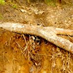 Fourth pic of Beautiful blonde takes a piss outdoors