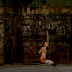 Fourth pic of SexPreviews - Jessie Coxxx pigtailed blonde with thight highs is bound to suck cock