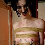 Third pic of Bondage Videos, Hard Bondage, Fetish Sex Videos, Torture, Hard Sex, Extreme 
Bondage Videos