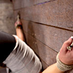 Third pic of SexPreviews - Phoenix Marie wall bound with famous ass toyed to orgasm