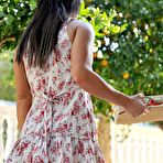 First pic of Hotty Stop / Jennifer Nexus Oranges