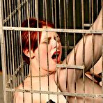 Fourth pic of Bondage Videos, Hard Bondage, Fetish Sex Videos, Torture, Hard Sex, Extreme 
Bondage Videos