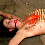 Fourth pic of SexPreviews - Cheyenne Jewel with ballgag is rope bound pussy spanked and vibrated