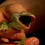 First pic of Realitykings Presents Moneytalks.com | Moneywall