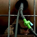 Second pic of SexPreviews - Juliette March in cage is anal cleaned her tits tortured before having sex