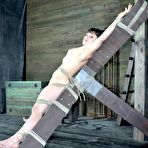 Second pic of SexPreviews - Siren Wolf is bound in rope and spanked with her tits clamped by Elise Graves