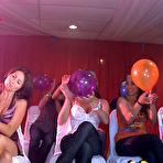 First pic of Tale of the Dancing Bear