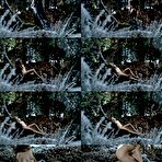 Fourth pic of Laetitia Casta nude captures from movies