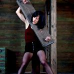 First pic of SexPreviews - Elise Graves queen of pain is spanked in bondage her pussy machine fucked