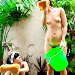 Third pic of abbywinters.com presents Window washing girls - 5 cute girls stripping and washing windows in the nude at Brdteengal.com