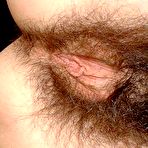 Fourth pic of hairy neighbours