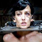 Second pic of SexPreviews - Elise Graves bound upside down with different kinky toys making her scream